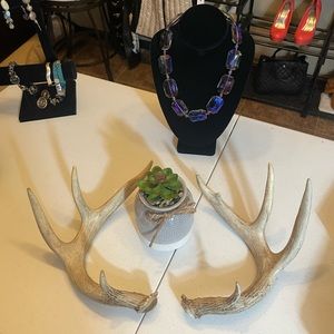 🦌4x4.5 Point Matching Whitetail Antler Set